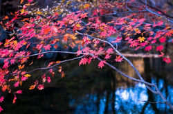 女神漫画免费登录页面笔趣阁